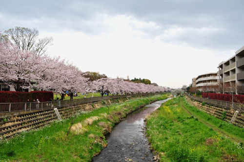 20160412_02.jpg