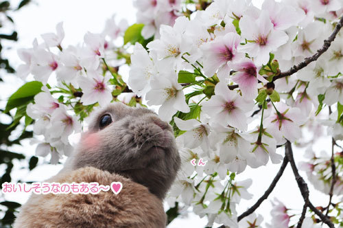 20160412_06.jpg