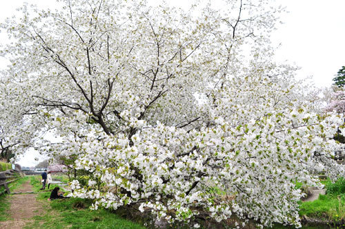 20160412_08.jpg