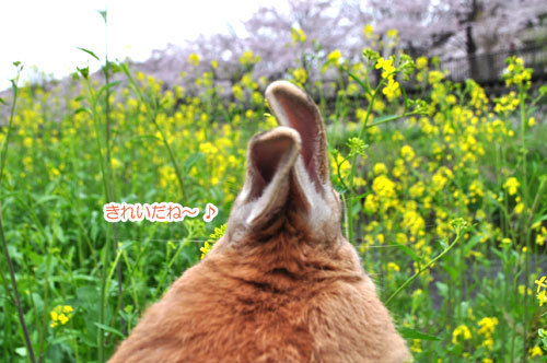 20160412_13.jpg