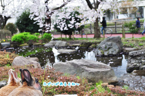 20160412_13_2.jpg