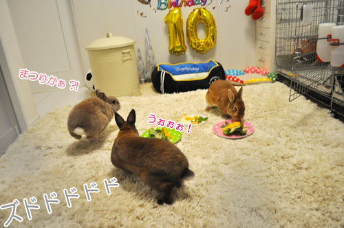 20181214_07.jpg