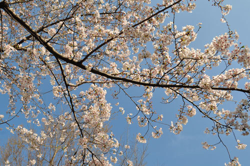 20190402_02.JPG